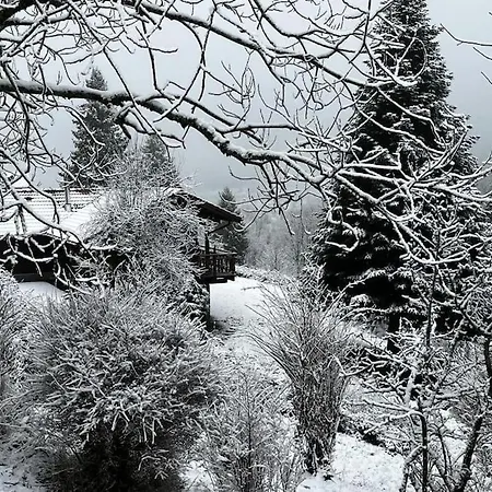 Pura Vida - En Pleine Nature, Confort