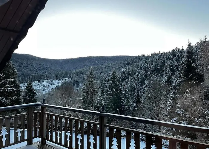 Pura Vida - En Pleine Nature, Confort