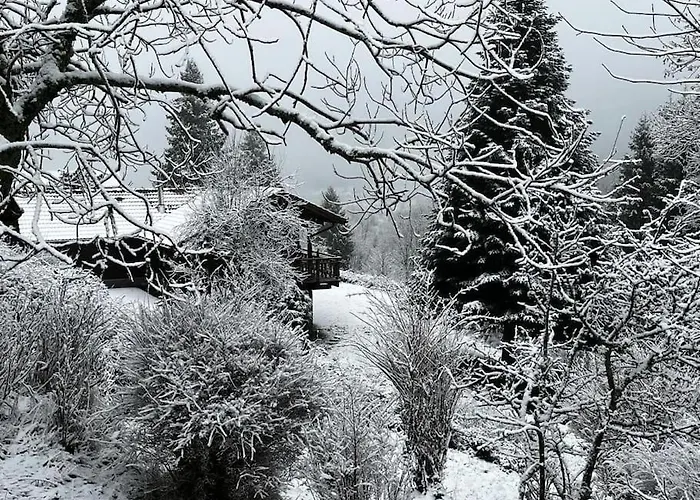 Pura Vida - En Pleine Nature, Confort